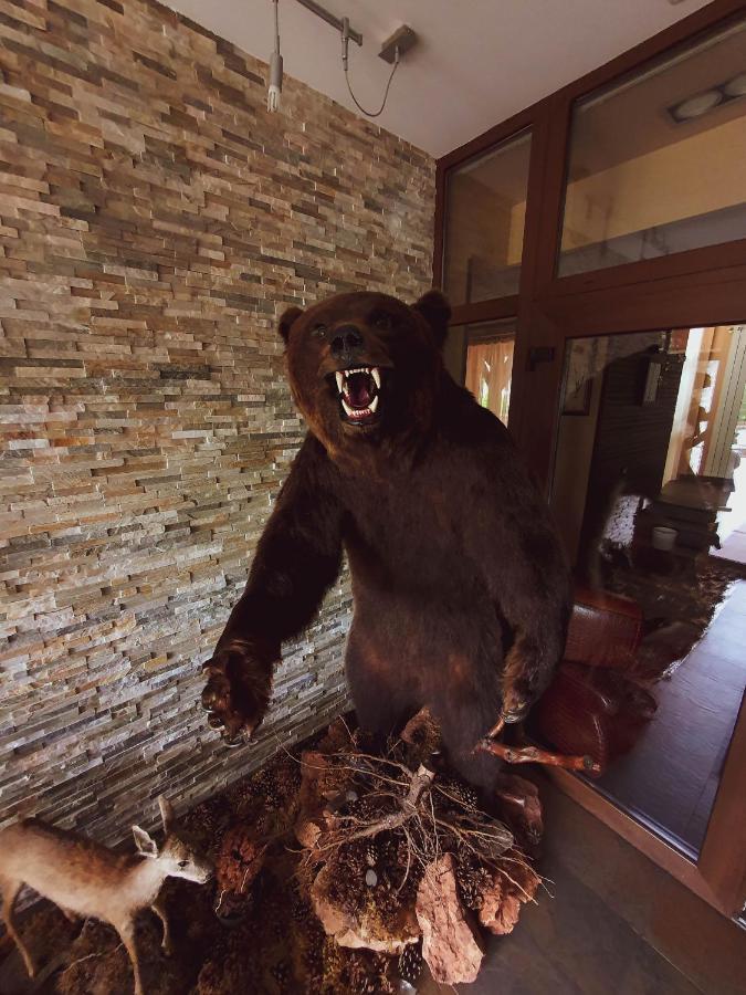 Hotel Belvedere Sovata Eksteriør billede